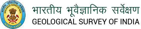 gsi-logo